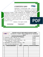 CERTIFICADO - BÁSICO - SSMA - Mod. 03