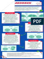 MEIOSIS 