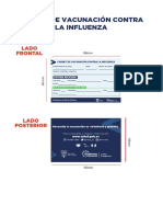 Carnet Vacunacion Influenza Dic 2021