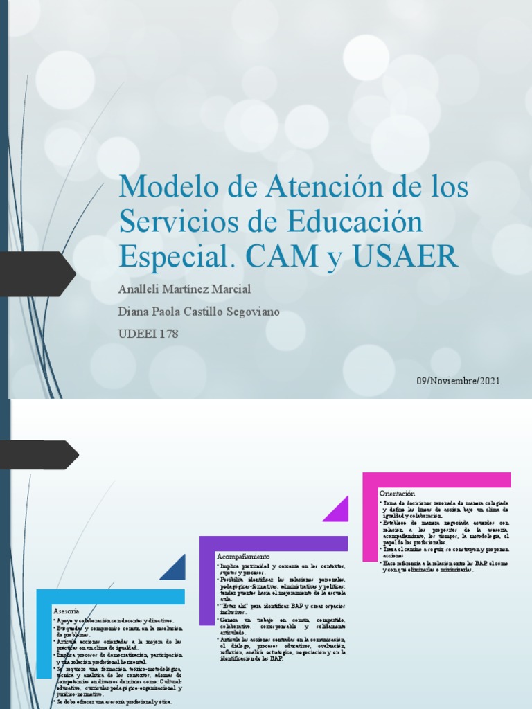 Modelo de Atención en Educación Especial | PDF | Evaluación | Cognición