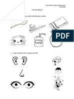 EVALUARE INIȚIALĂ - Cunoașterea Și Igiena Corpului Uman