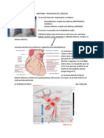 Anatomia y Fiosologia Del Corazon PDF