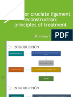 Anterior Cruciate Ligament Reconstruction: Principles of Treatment