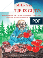 Zdravlje Iz Gljiva Ebook