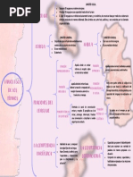 Cuadro Snóptico. Semana 3