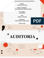 Auditoria (Bershka) - Katherine Elizabeth Fernandez Perdomo