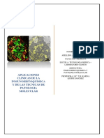 Portafolio de Inmunohistoquimica 1