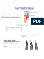 Bolsa Periodontal