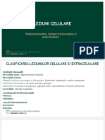 LP3 - 2 Leziuni Celulare