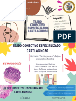 Tejido Cartilaginoso -Grupo 3-