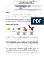 Guia #15 Flujo de Materia y Energía en Los Ecosistemas