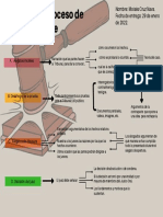 Etapas Del Proceso de Debate - MCN