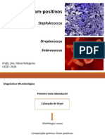 Cocos gram-positivos: morfologia, testes e gêneros Staphylococcus e Streptococcus