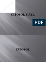 Citosol