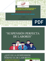 SUSPENCION PERFECTA DE LABORES (2)
