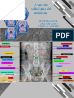 Anatomia Radiologica de Abdomen