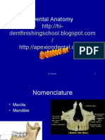 Dental Anatomy: DR Shabeel 1