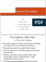 Pyrrophyta Dan Chrysophyta