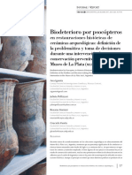 Psocóteros - Biodeterioro Restauración Cerámica