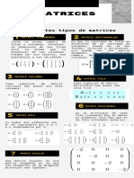 Infografia de Matrices