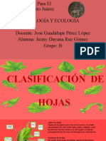 Catálogo de Morfología Vegetal Hojas ByE RuzGomezJeimyDayana GB