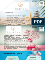 MKT - Equipo 4 - Tulip Spa