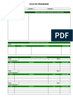 Formato - Ciclo de Programa