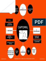 Mapa Conceptual Farmacocinetica Captopril