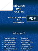 ESOFAGUS GASTER