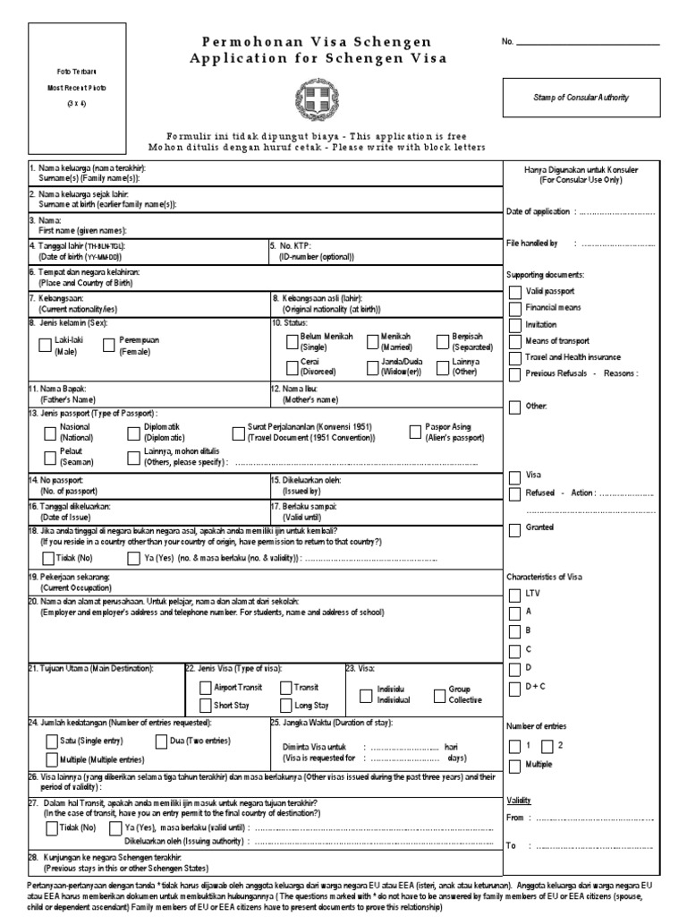 Visa Form | PDF