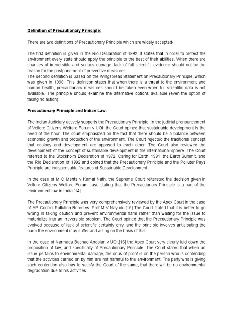 Understanding the Precautionary Principle | PDF | Justice | Public Sphere