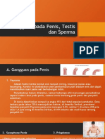 Gangguan Pada Penis, Testis Dan Sperma