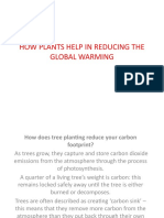 Plants Help in Reducing Global Warming