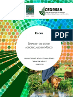 11.-Situacion Sector Agropecuario México