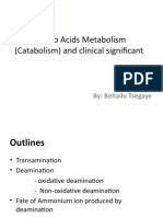 Amino Acids Metabolism (Catabolism) and Clinical Significant