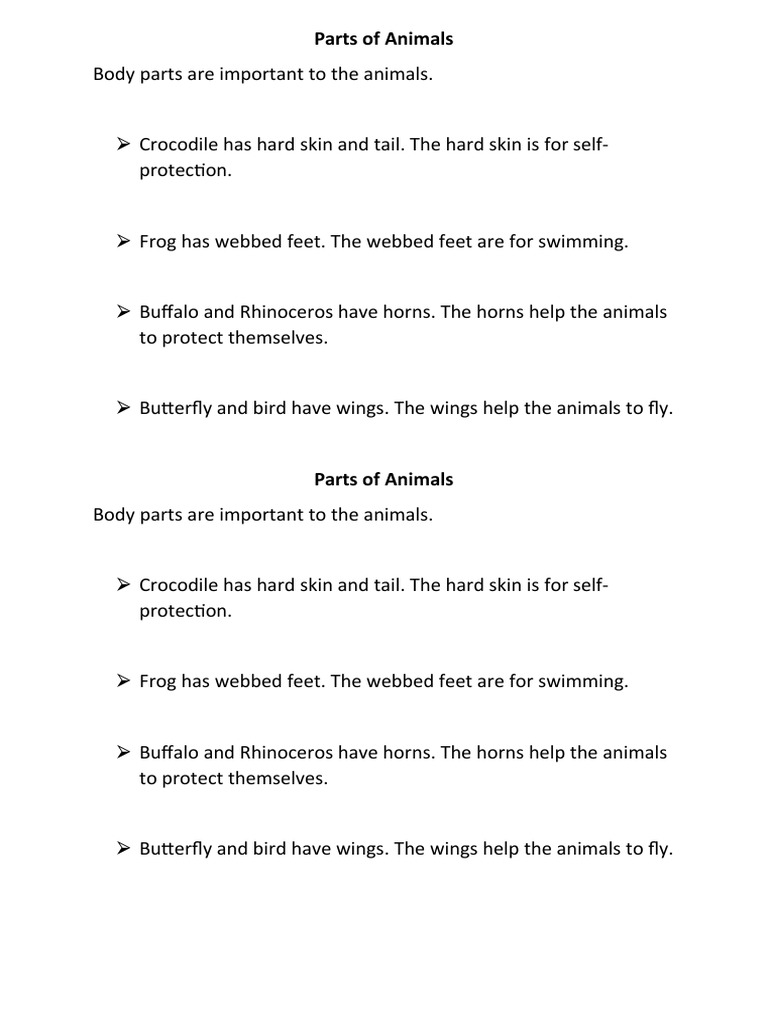 Parts of Animals PDF