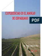 Experiencias en el manejo de esparrago: distancias de siembra, variedades, velocidad de crecimiento