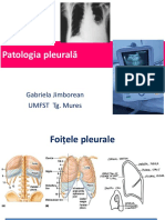 CURS MG Pleura 2020