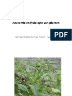 2011-05-11 Plantenfysiologie (WK)