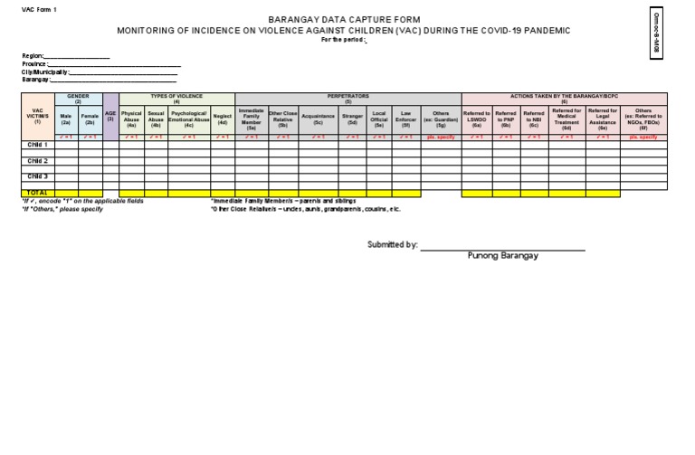 VAC Barangay Data Capture Form PDF Violence Justice