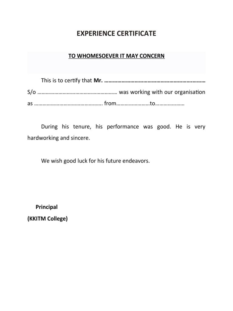 Experience | PDF