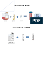 Esquema cultivos