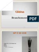 Cables Branchements