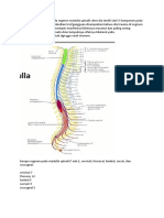 Catatan Trauma Medulla Spinalis