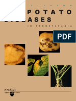 Potato Diseases: I D E N T I F Y I N G