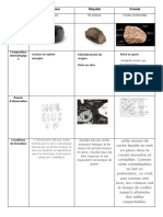 Aide Fiche Signaletique Roche2021 1 1