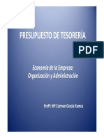 Presupuesto Tesoreria