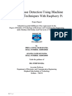 ML Project Report..