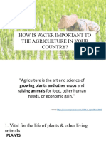How Is Water Important To The Agriculture in Your Country?