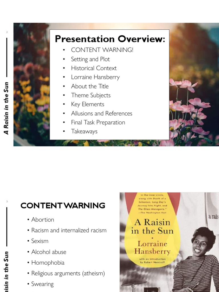 A Raisin in The Sun Introduction Slideshow PDF